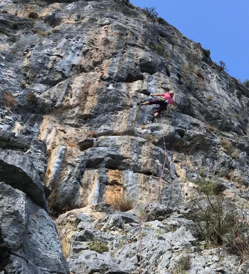 Agios Vlasios Aelia别墅 外观 照片